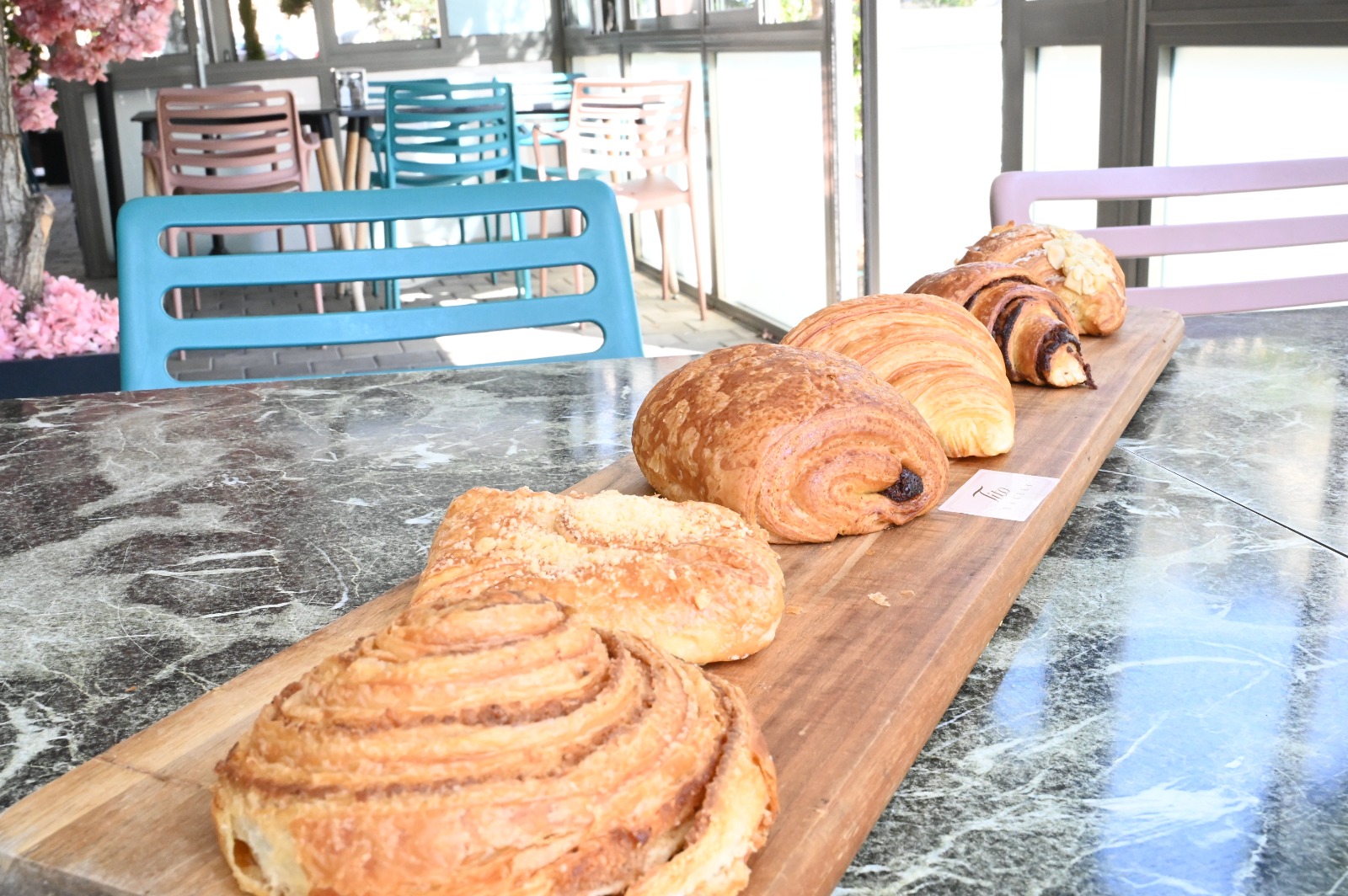 WhatsApp Image 2022-10-19 at 2.04.05 PM.jpeg